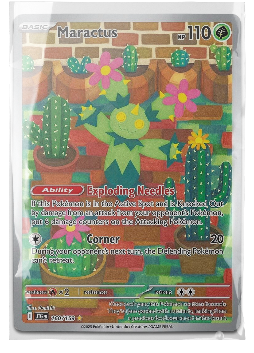 JTG 160 Maractus