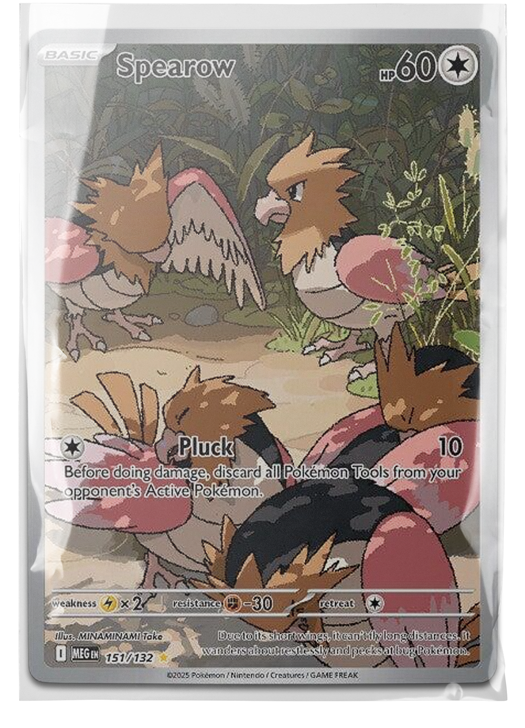 MEG 151 Spearow