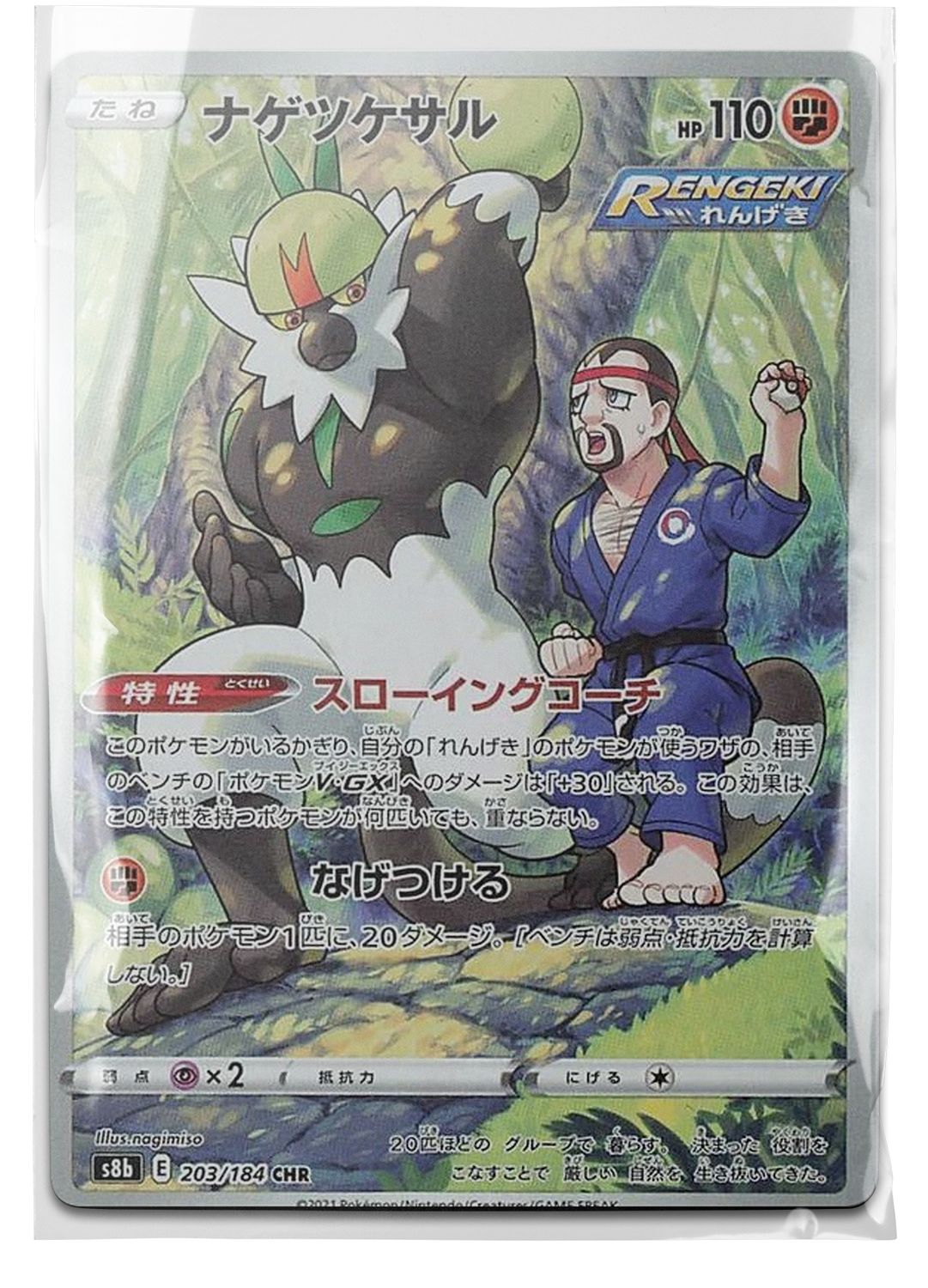 s8b 203 Passimian