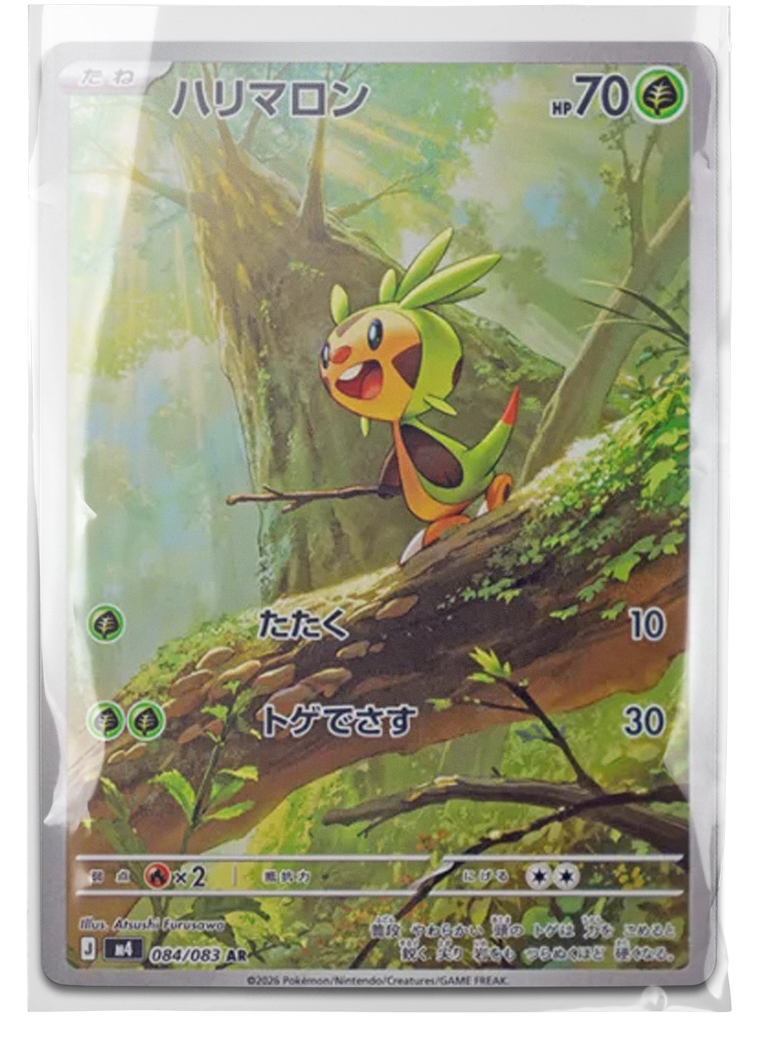 m4 084 Chespin