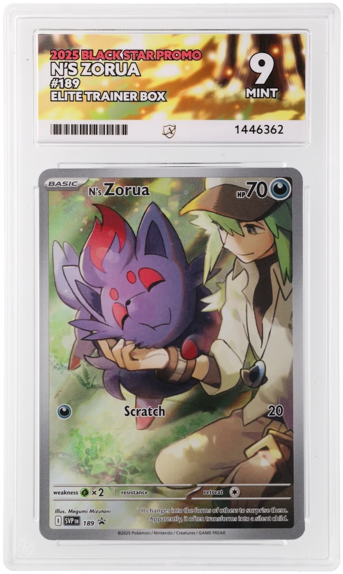 N's Zorua - ACE 9   (Front)