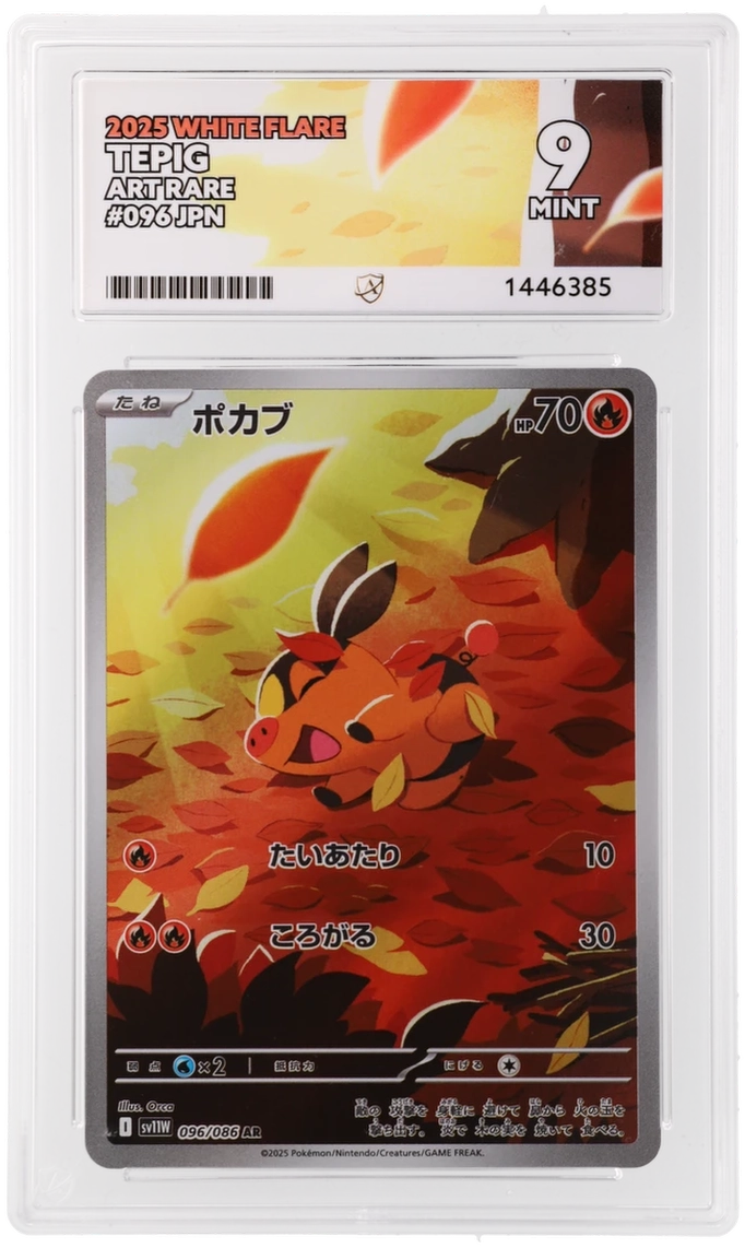 Tepig - ACE 9   (Front)