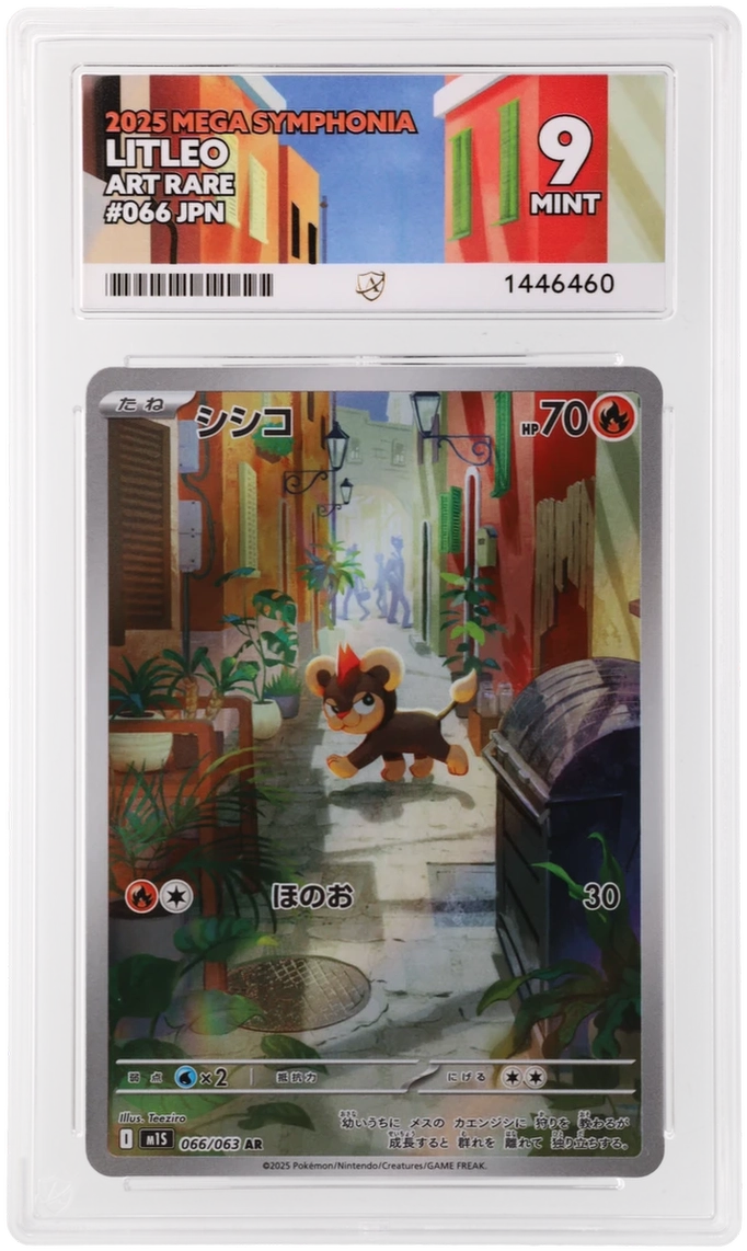 Litleo - ACE 9   (Front)