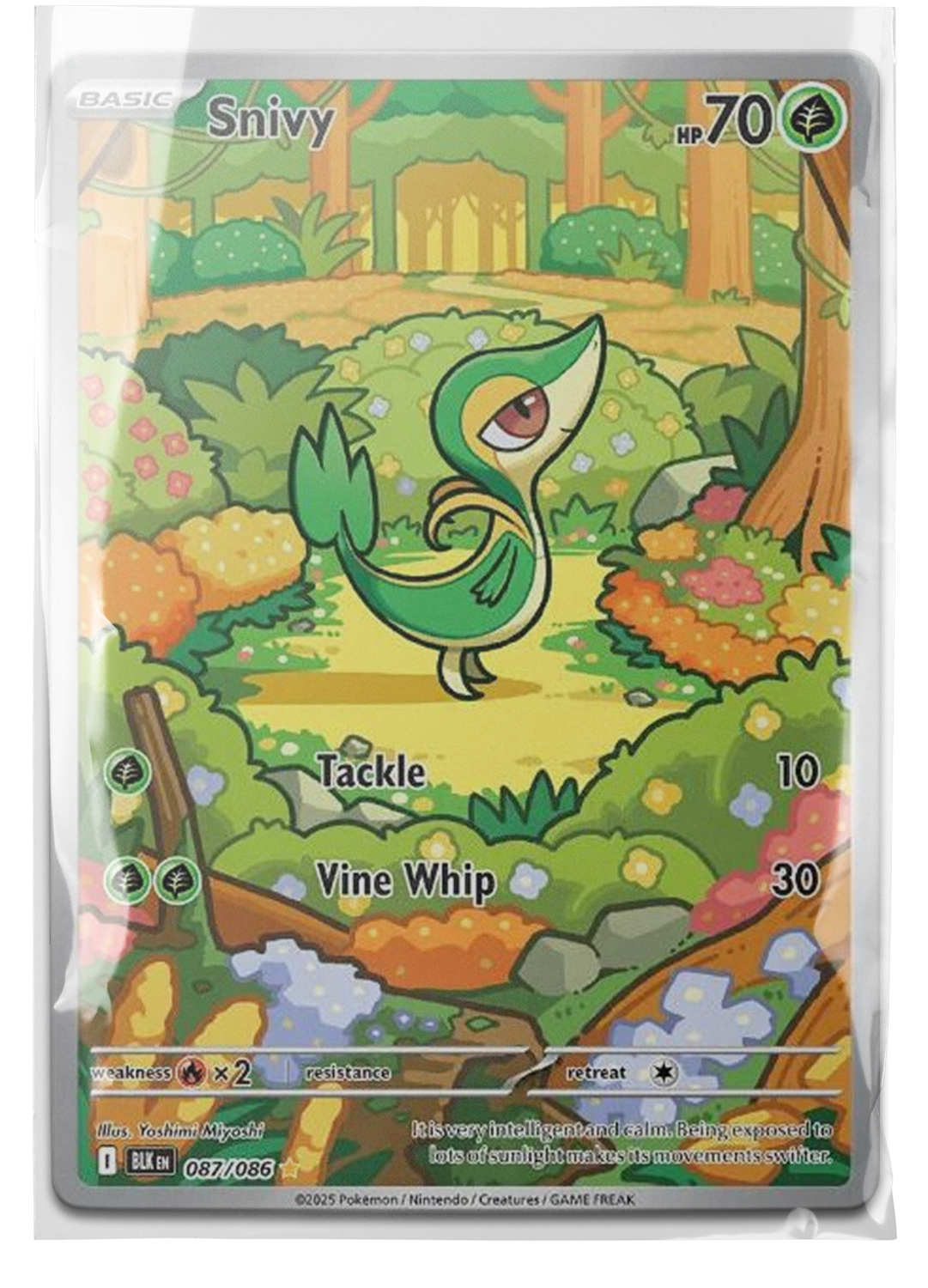 BLK 087 Snivy