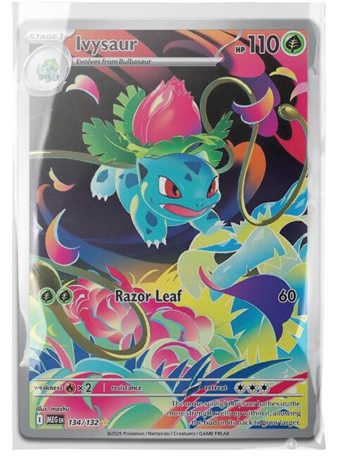 MEG 134 Ivysaur