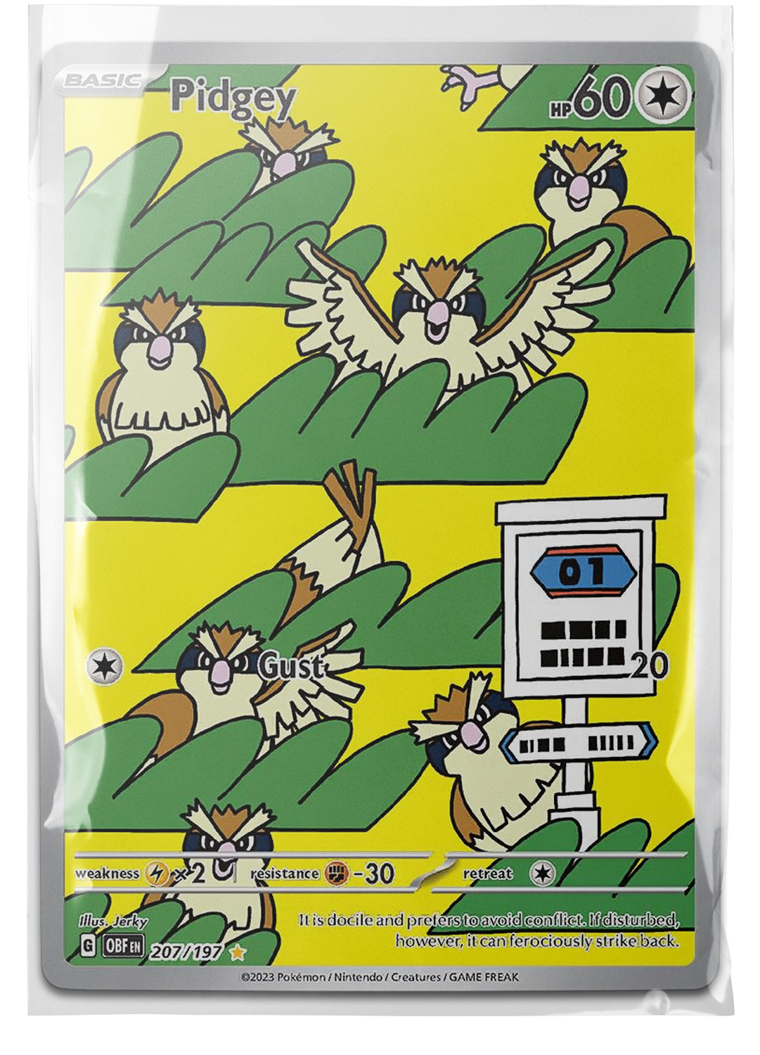 OBF 207 Pidgey