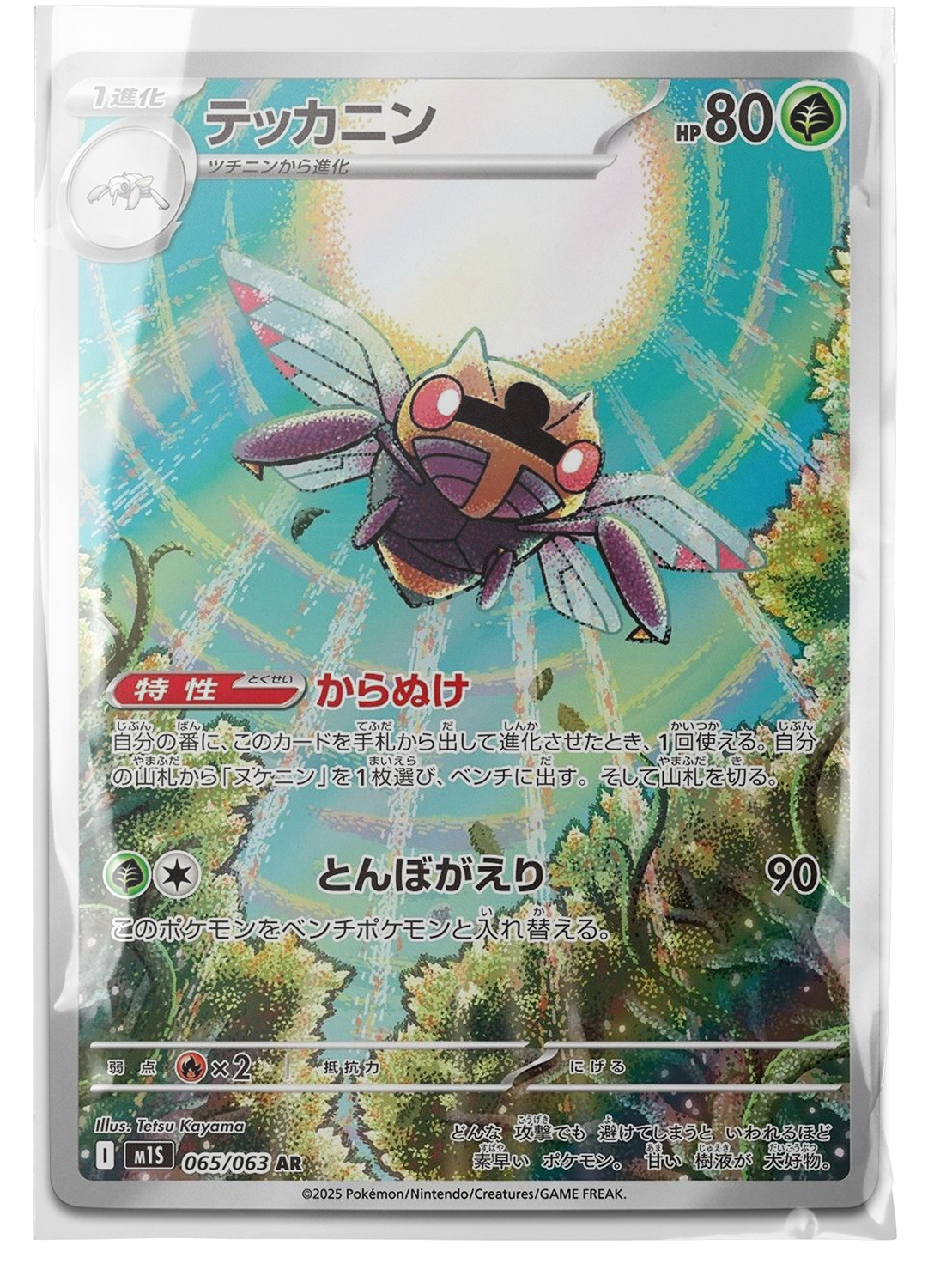 m1S 065 Ninjask