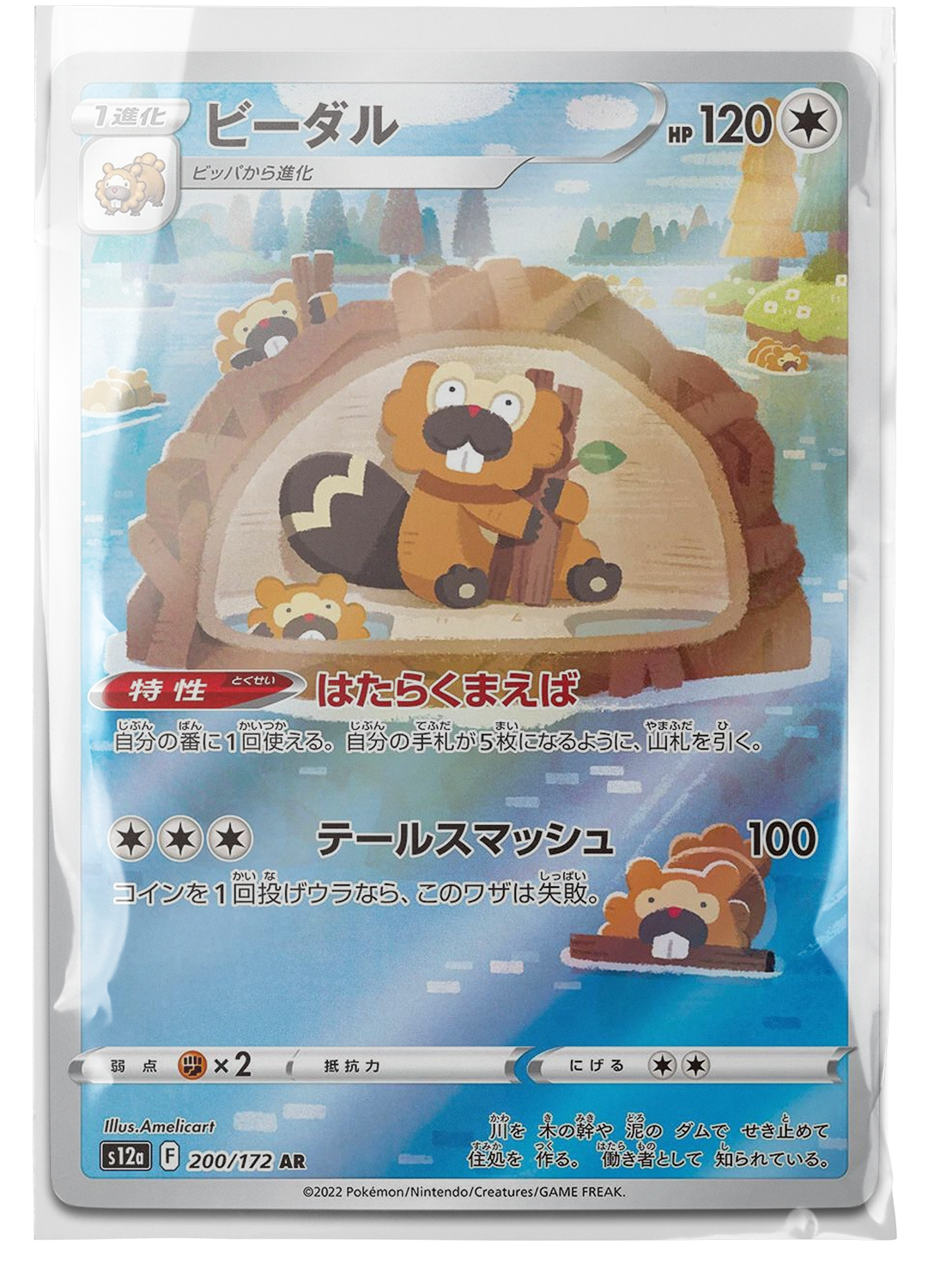 s12a 200 Bibarel