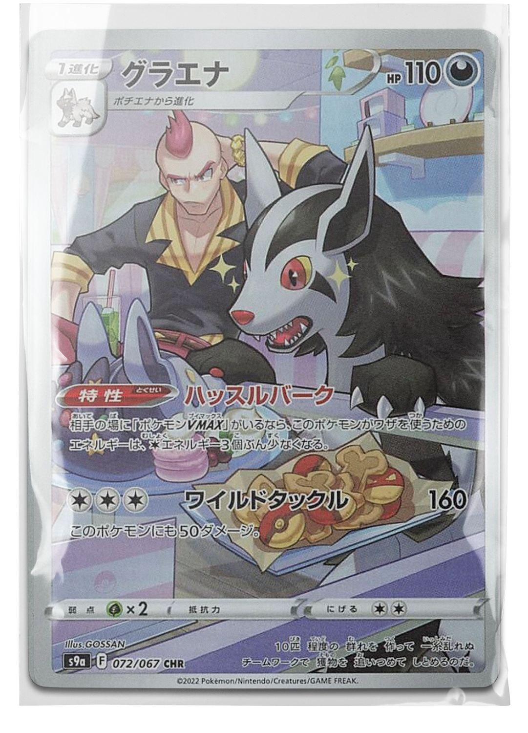 s9a 072 Mightyena