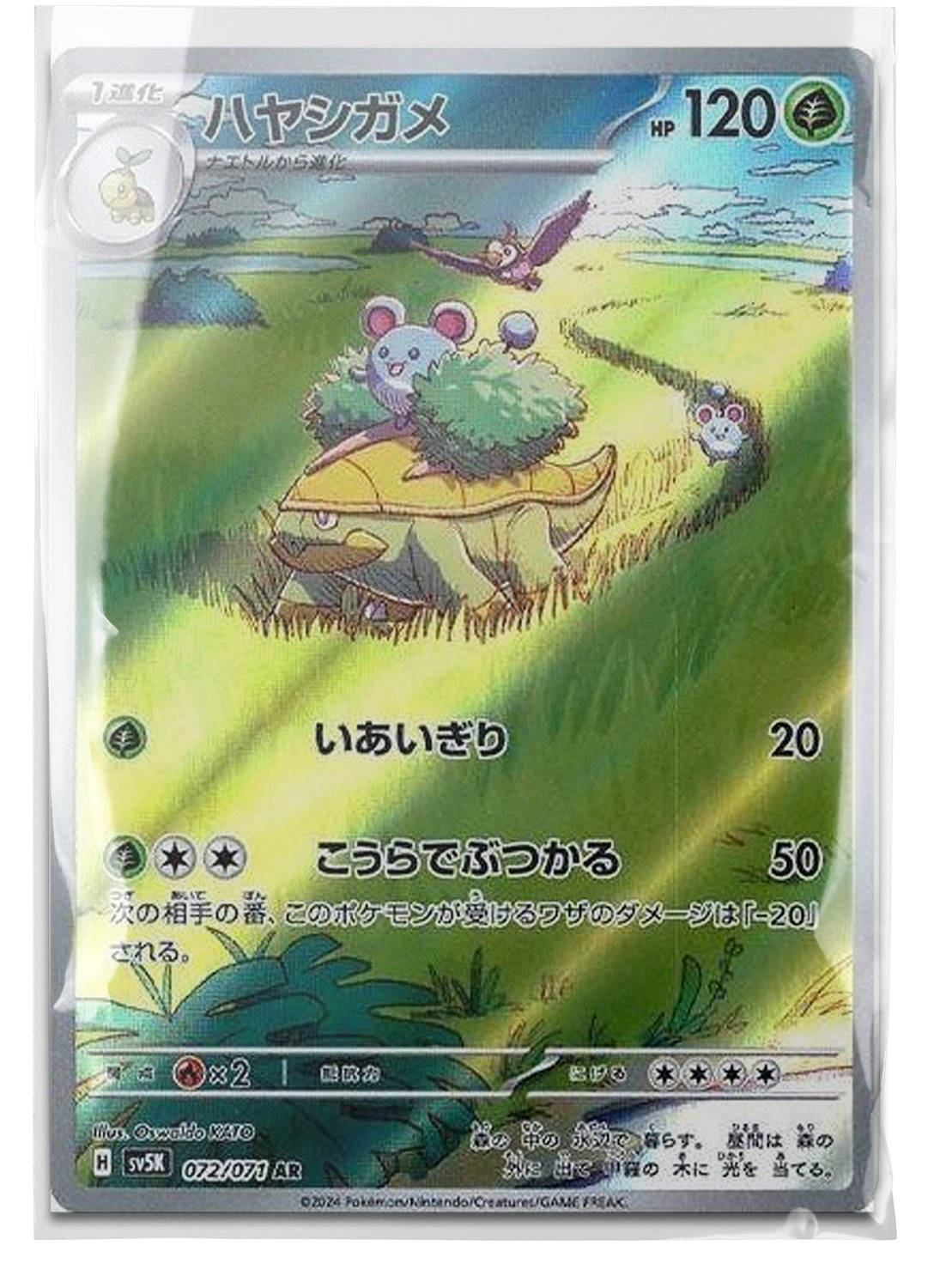 sv5K 072 Grotle