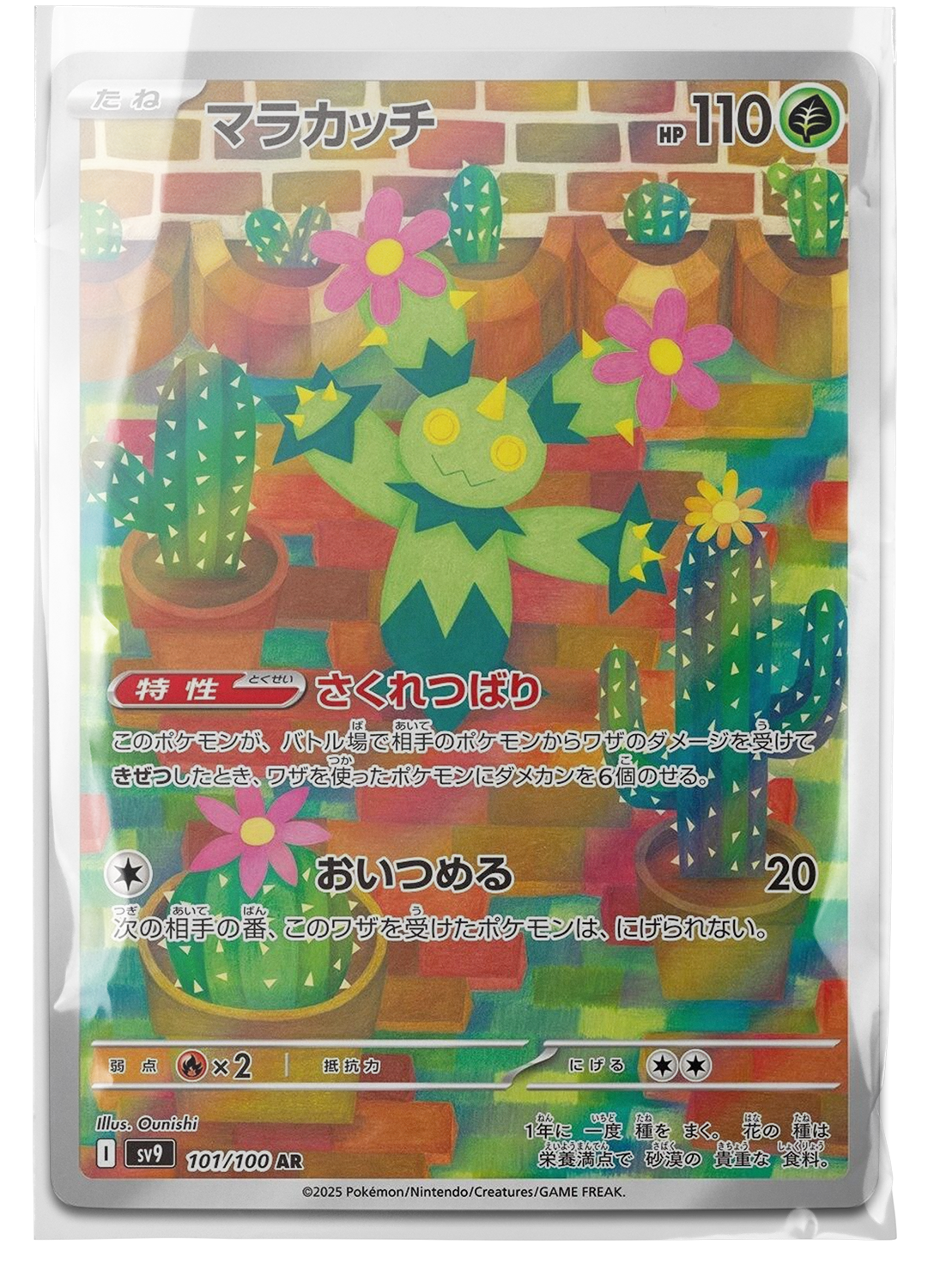 sv9 101 Maractus