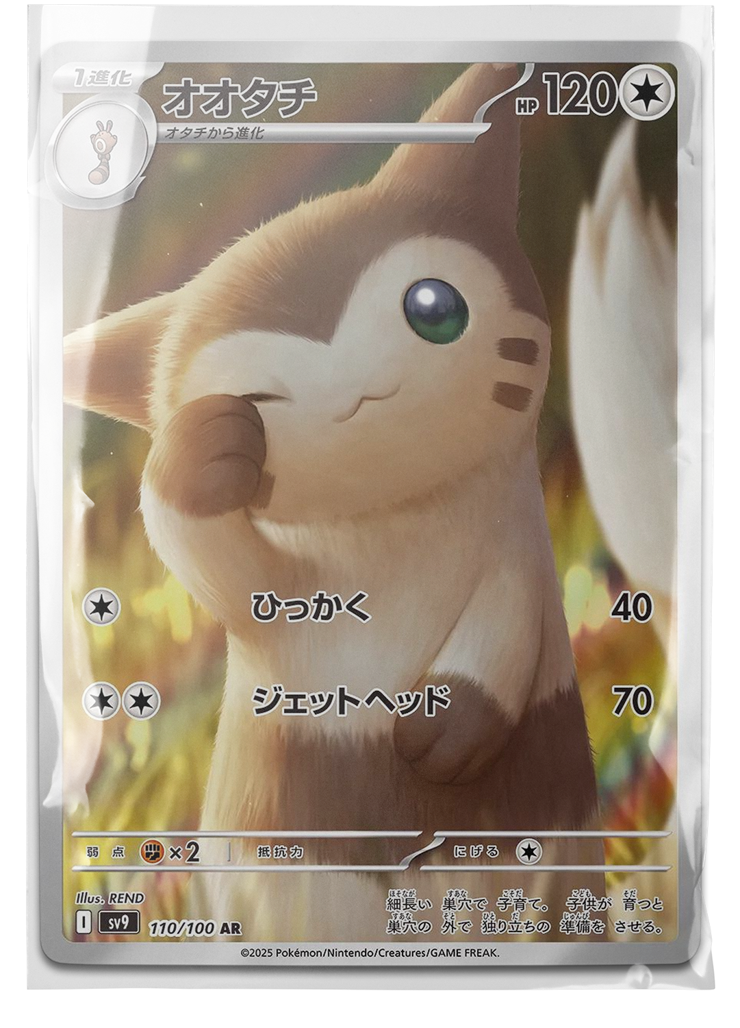 sv9 110 Furret