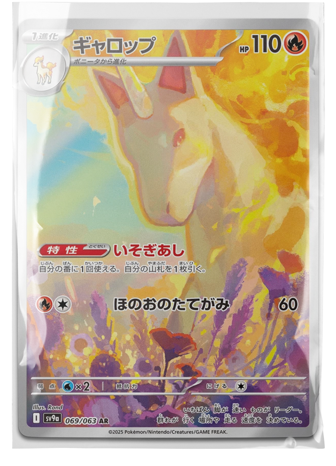 sv9a 069 Rapidash